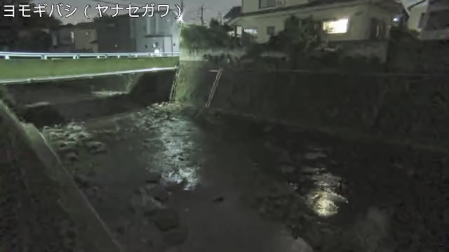 静止画