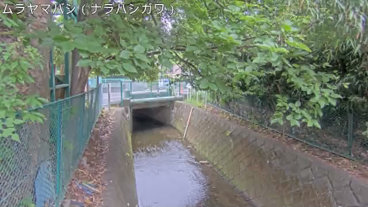 静止画