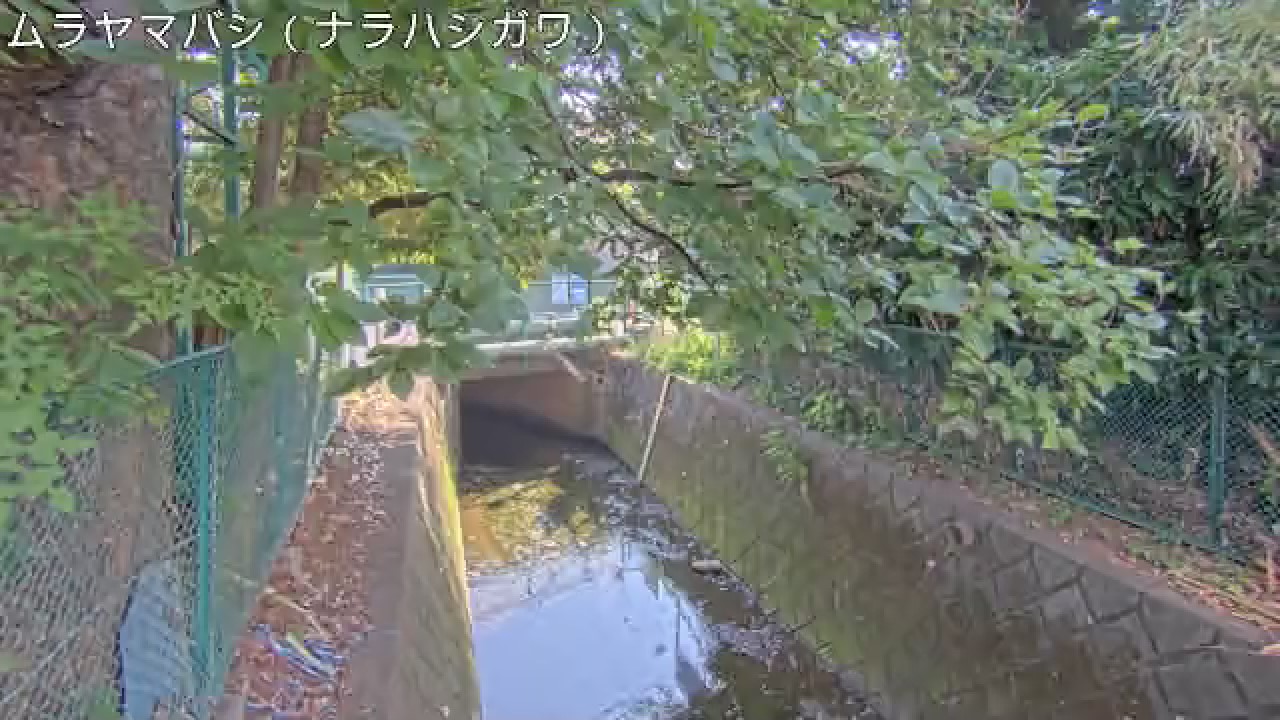 静止画