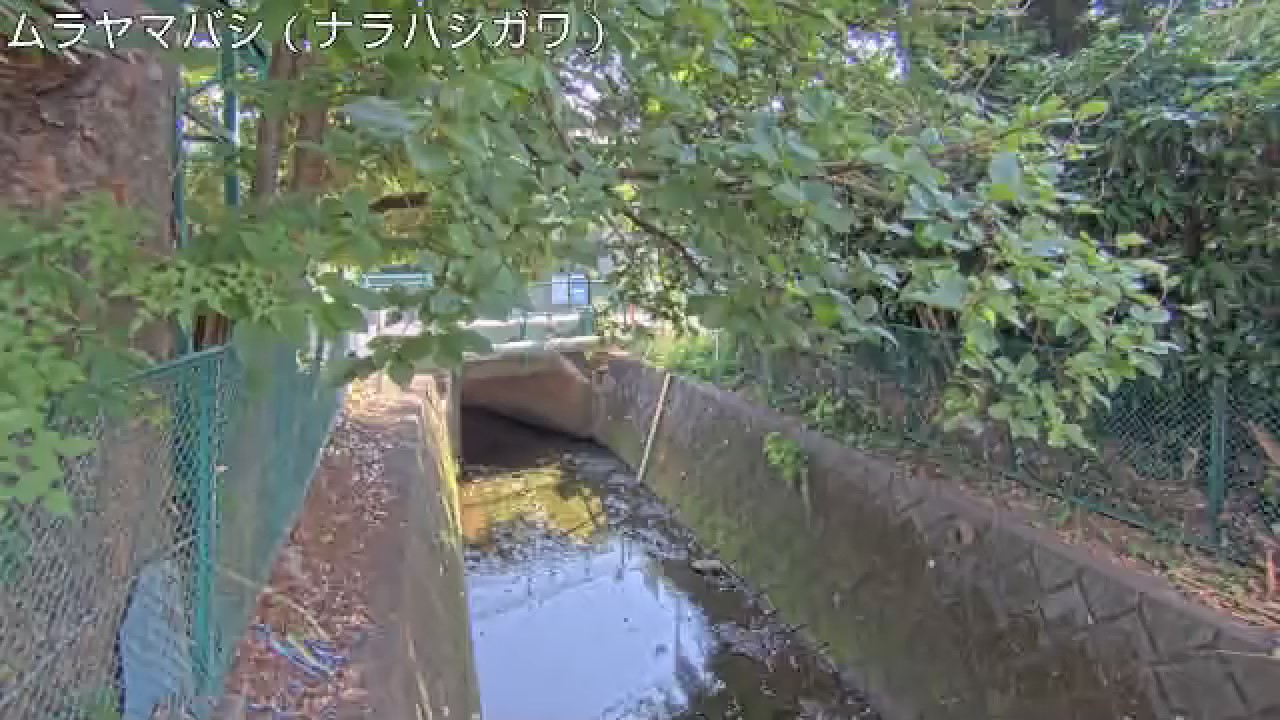 静止画